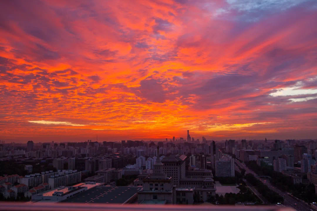 image005.jpg image005.jpg