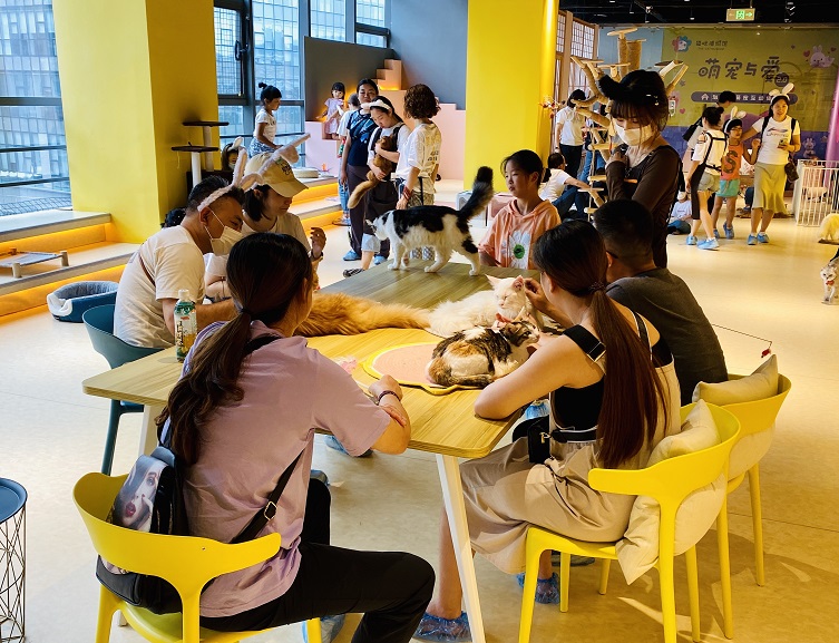 貓咪博物館2.jpg 貓咪博物館2.jpg