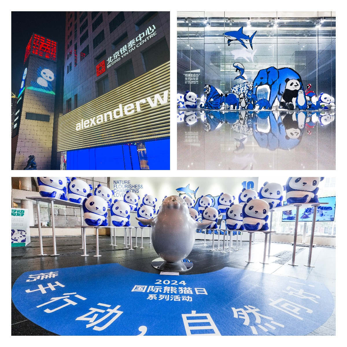 稿定設計導出-20241018-195306_副本.jpg 稿定設計導出-20241018-195306_副本.jpg